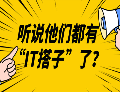 听说他们都有“IT搭子”了？